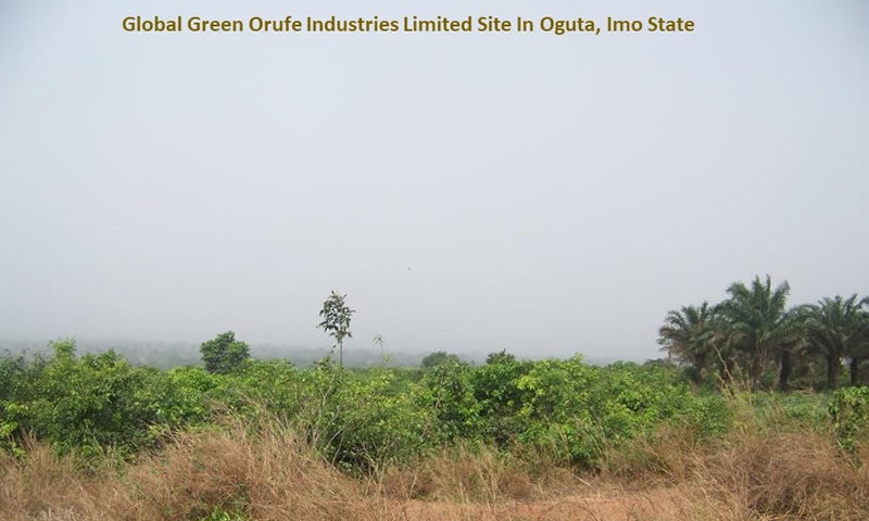 Global Green Orufe Industries Site In Oguta, Imo State